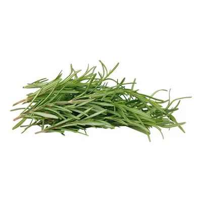 Rosemary