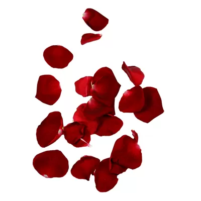 Rose Petals